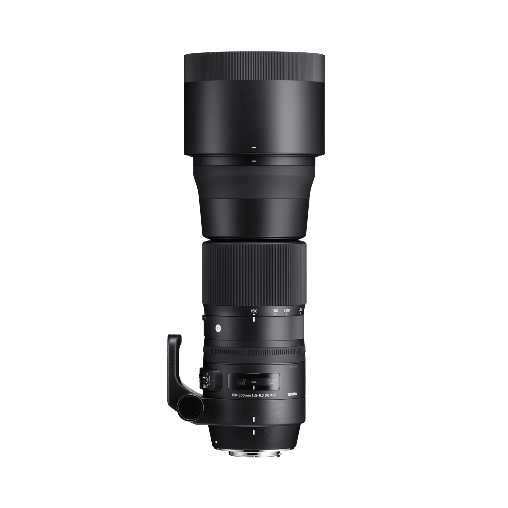CONTEMPORARY 150-600mm F5-6.3 DG OS HSM – Sigma Italia