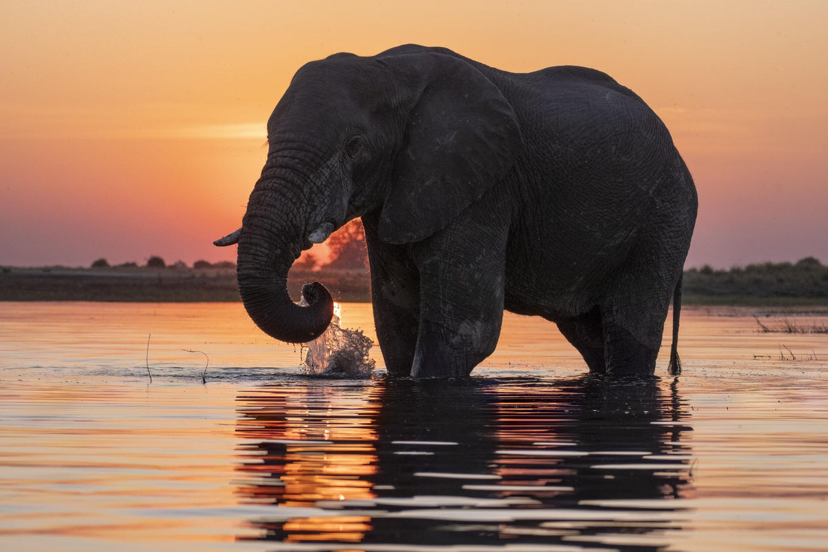 UNVEILING THE SOUL OF SOUTHERN AFRICA