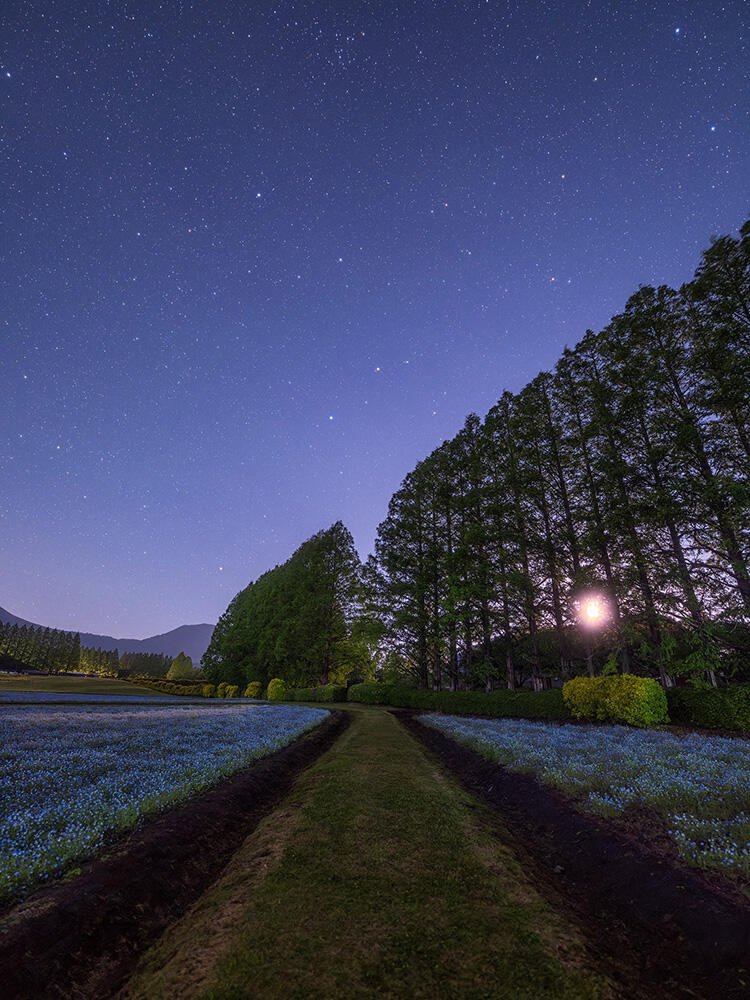 WHEN I ENCOUNTER THE STARRY SKY OF A LIFETIME, THIS IS A RELIABLE LENS TO CAPTURE THE SCENE IN ITS BEST CONDITION.