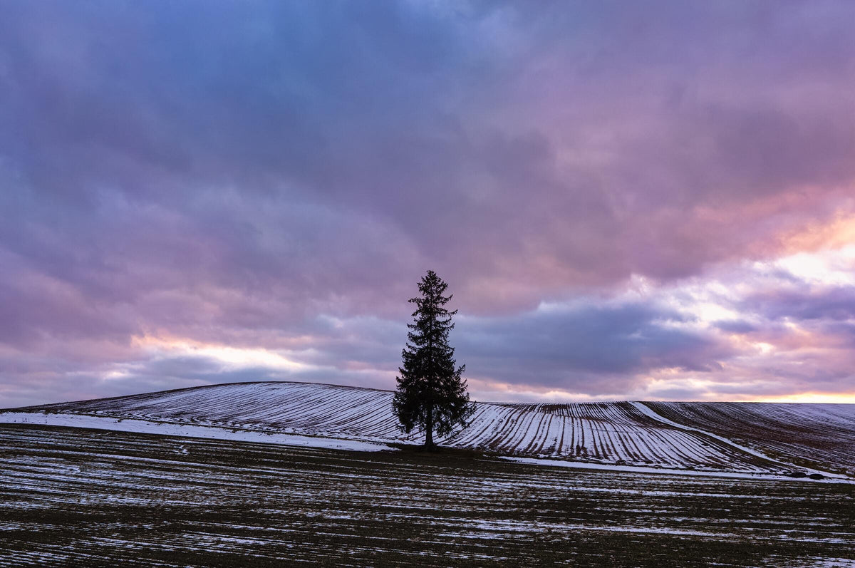 I BREATHE LIFE INTO PHOTOGRAPHS BY VISUALIZING THE MELODY OF SCENERY.
