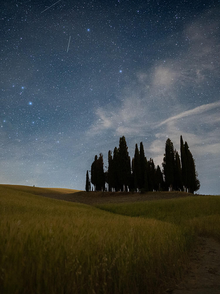 ENTER THE PHOTOGRAPH, TAME THE LANDSCAPE