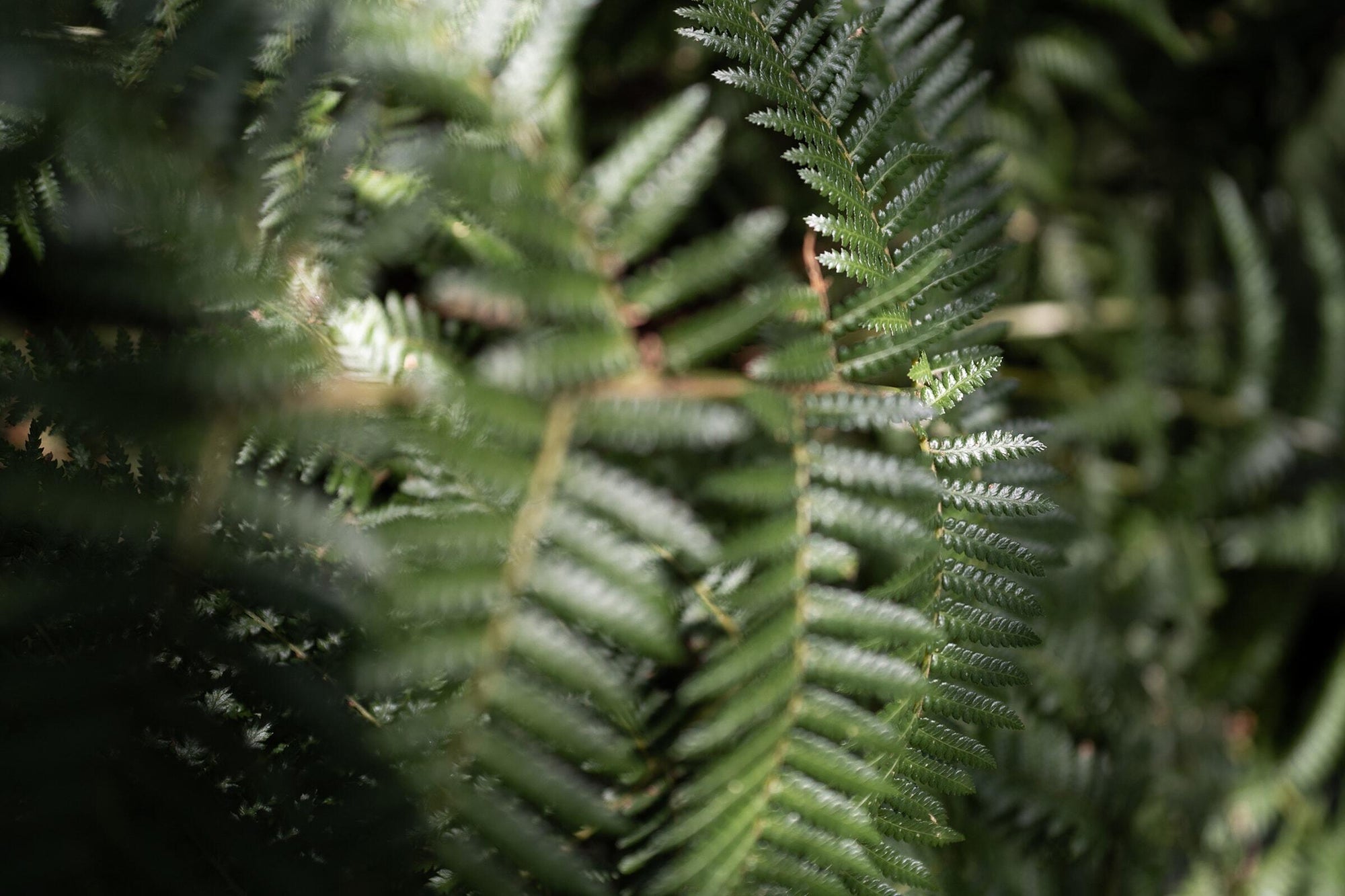 I LOVE MINIMAL AND CLEAN PHOTOGRAPHY.