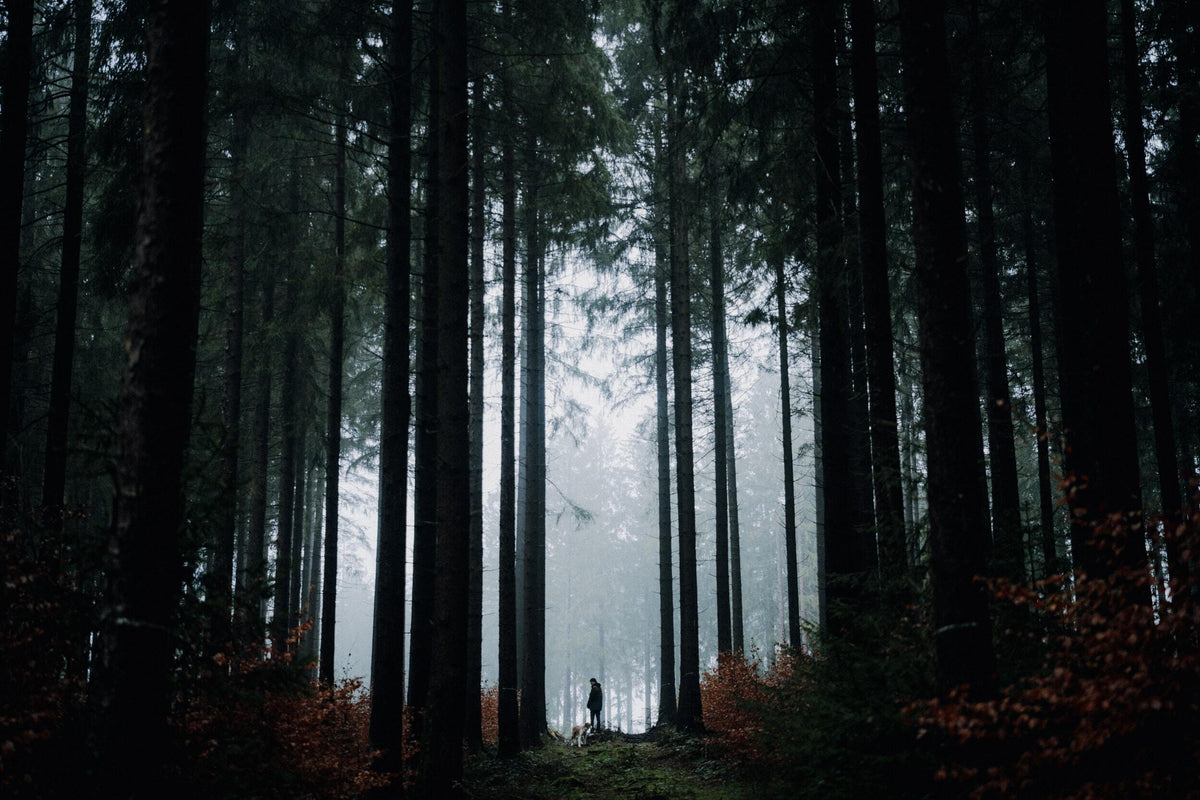 A 50mm PRIME THAT OPENS UP A WHOLE NEW, MAGICAL WORLD FOR YOU