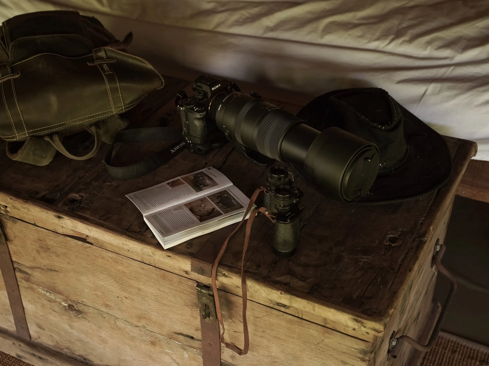 The perfect safari lens combination