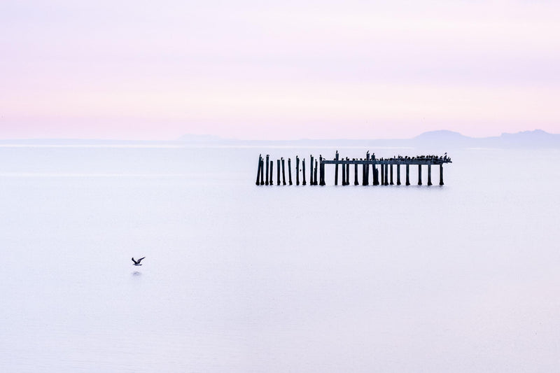 Centered Image