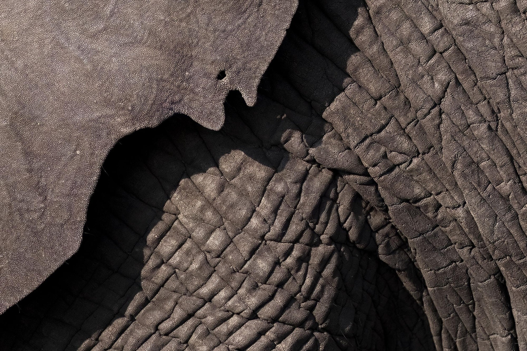 Second Image