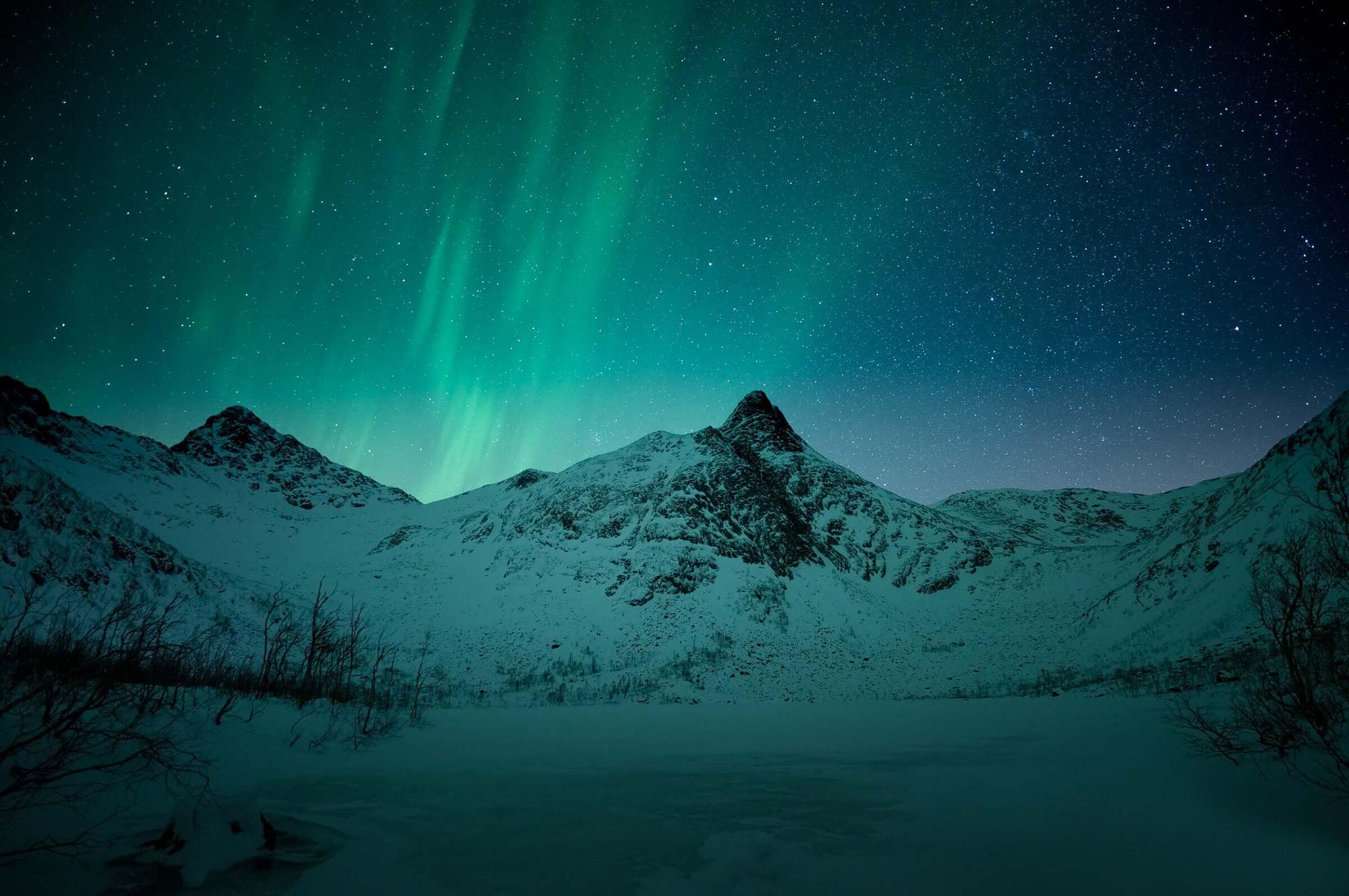 Full width image