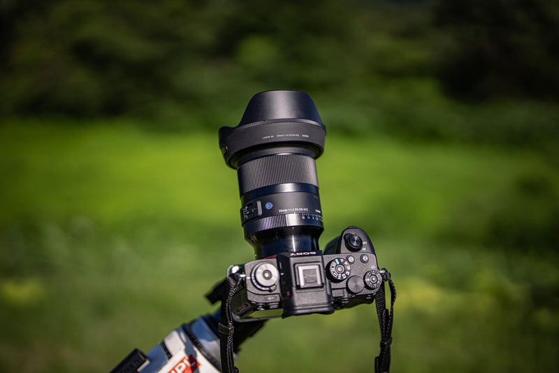 Centered Image