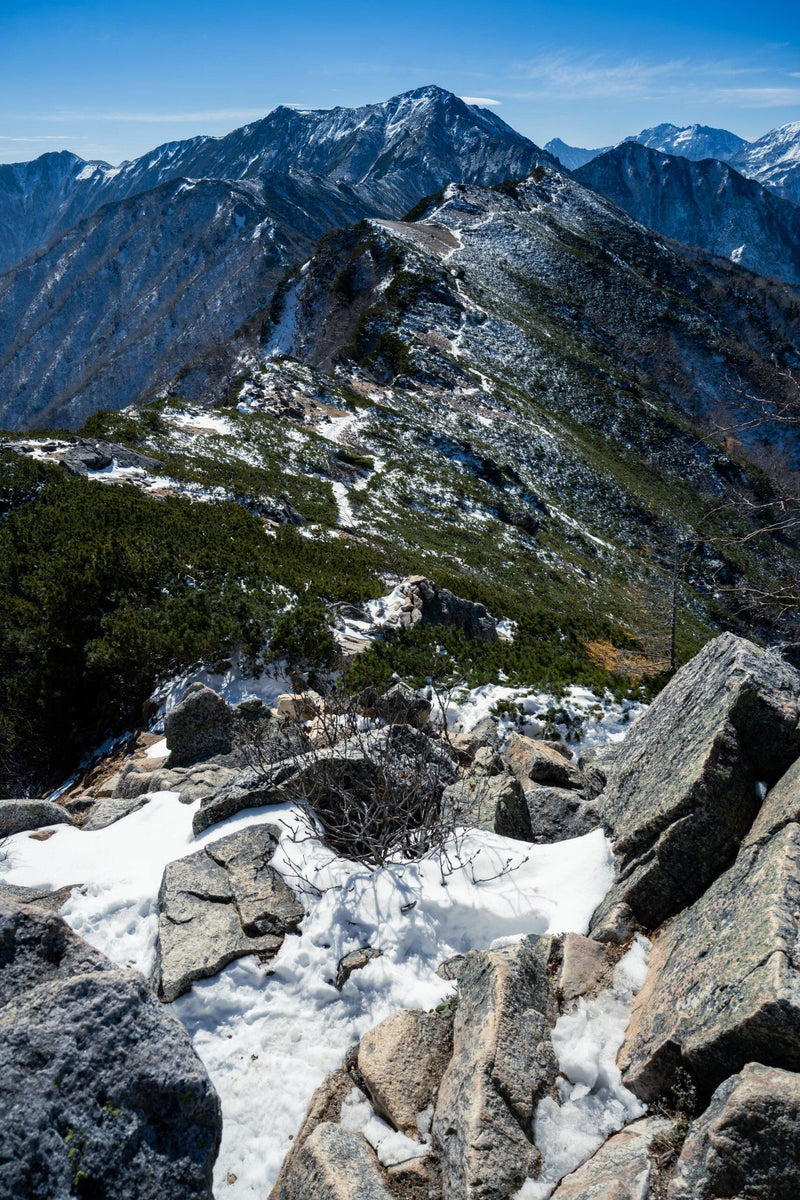Centered Image