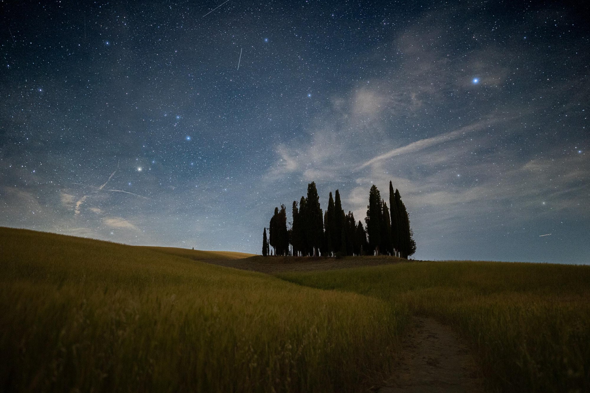 Full width image