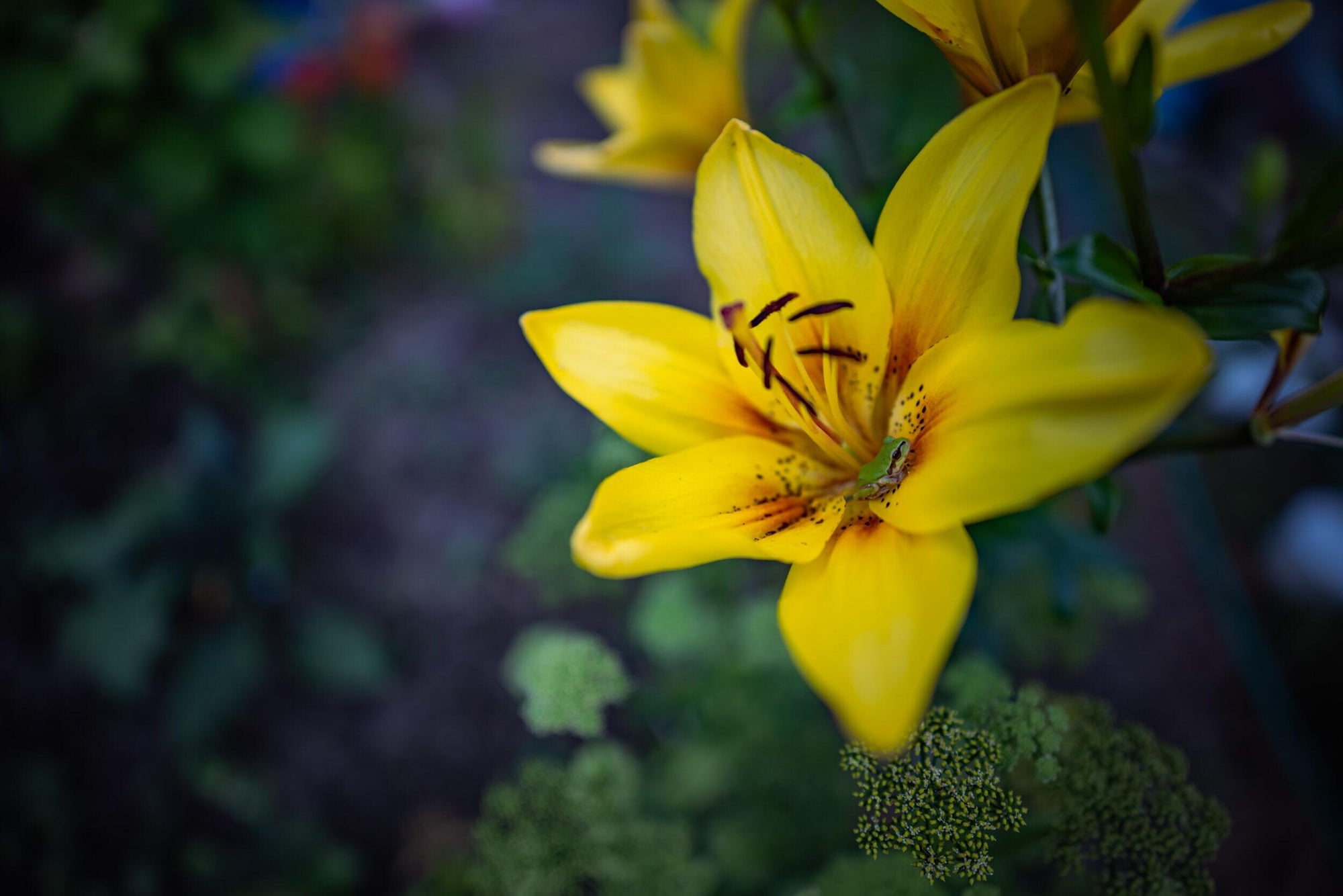 Slideshow image 2