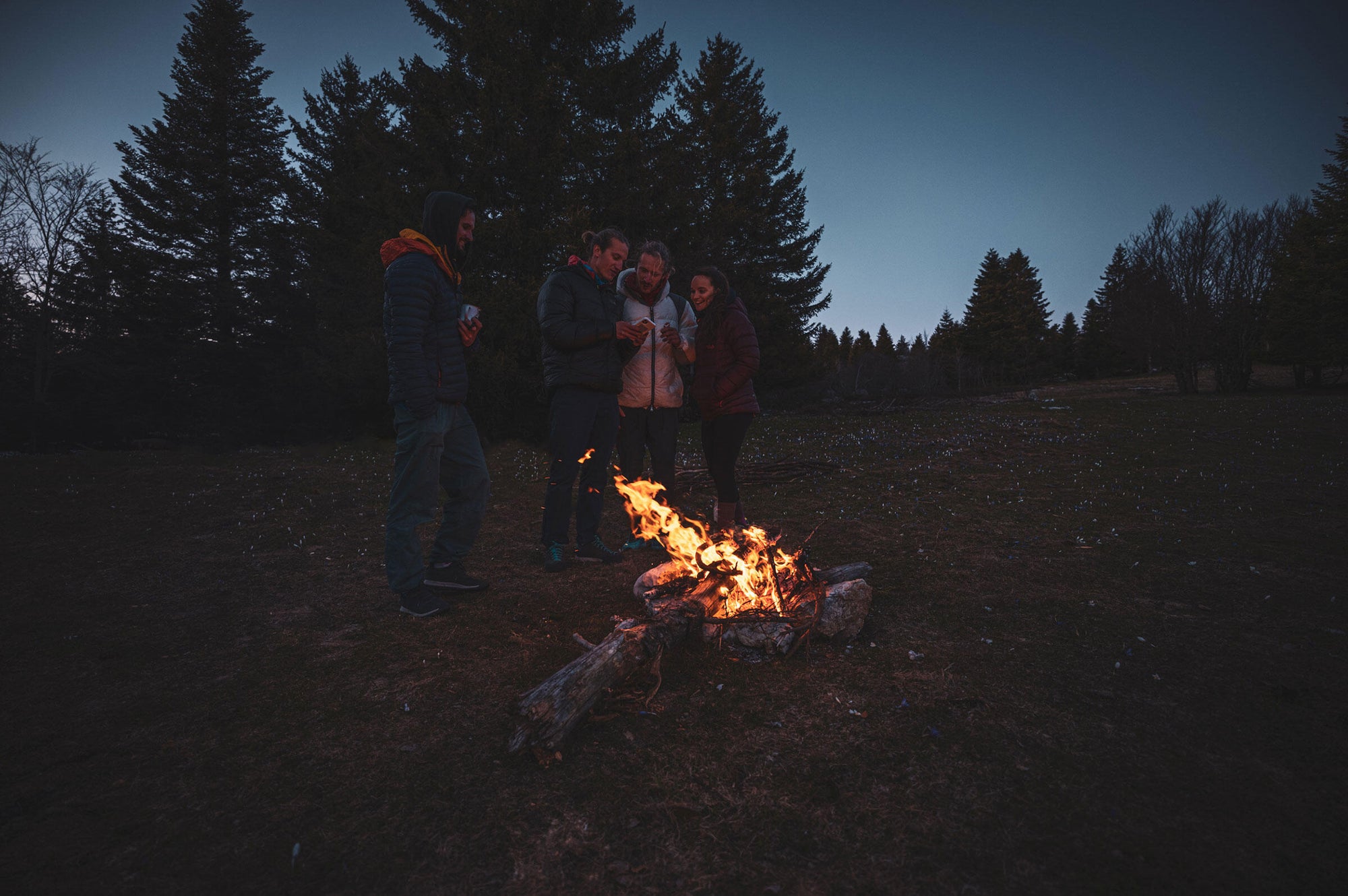 Full width image