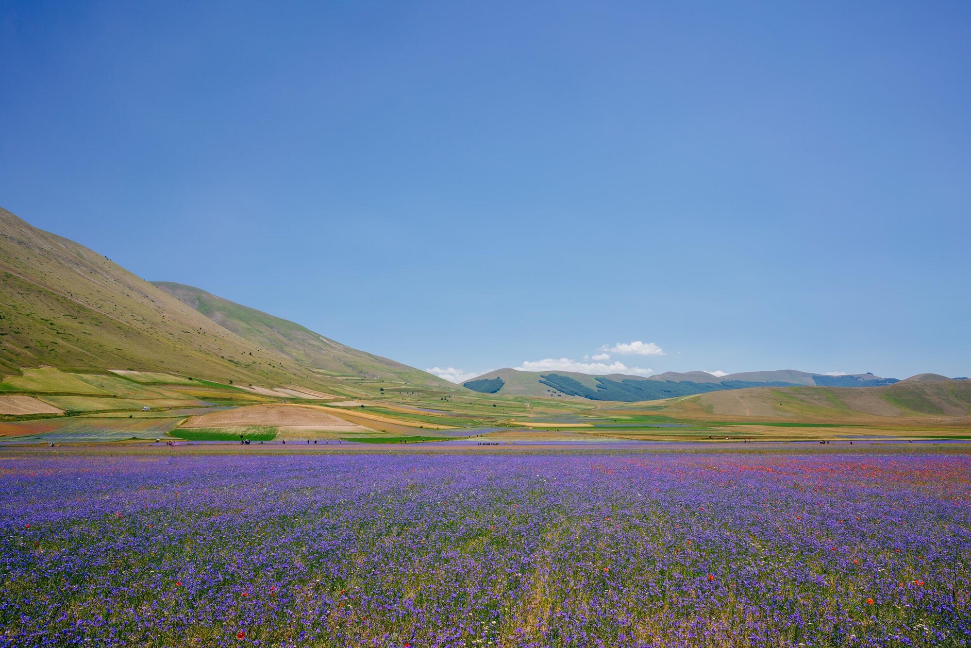 Slideshow image 6