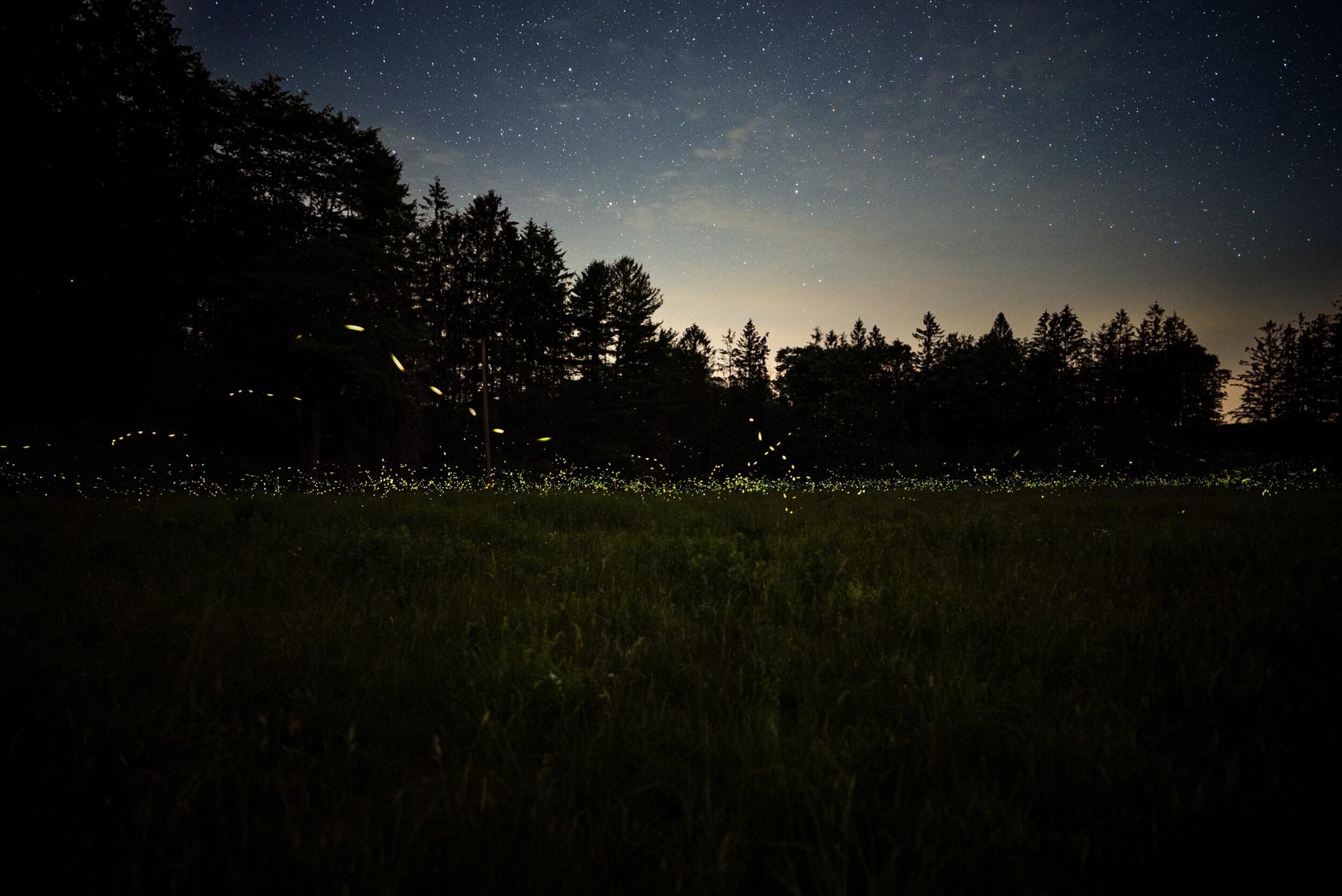 Slideshow image 3