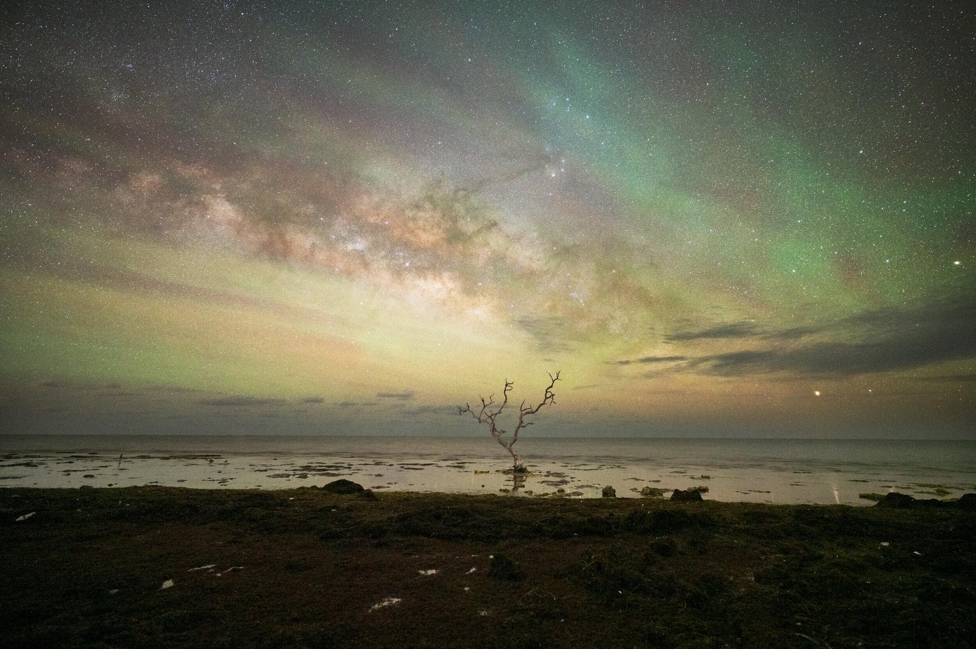 Full width image