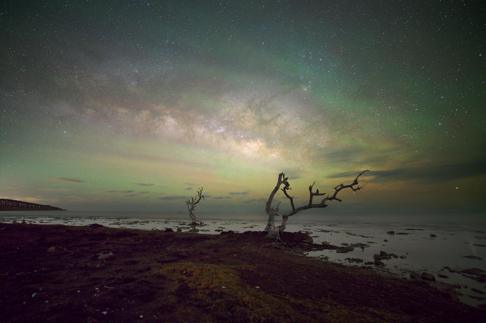 Full width image