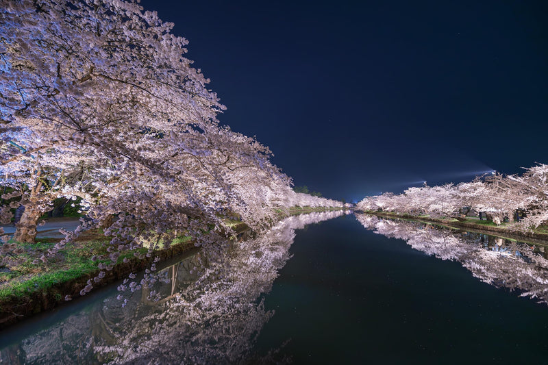 Centered Image