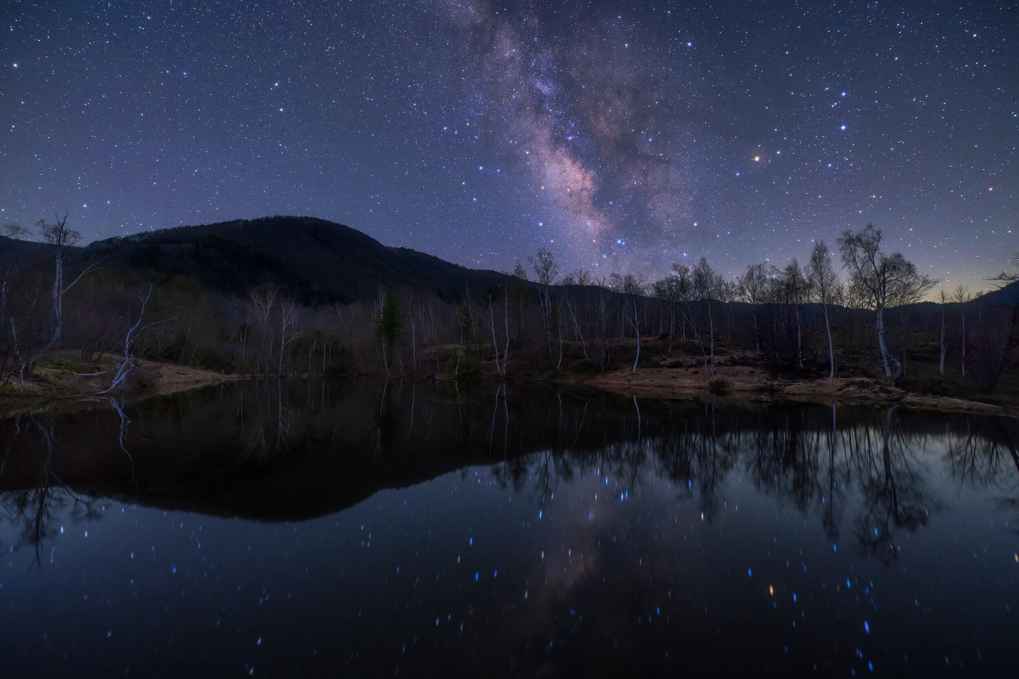 Full width image