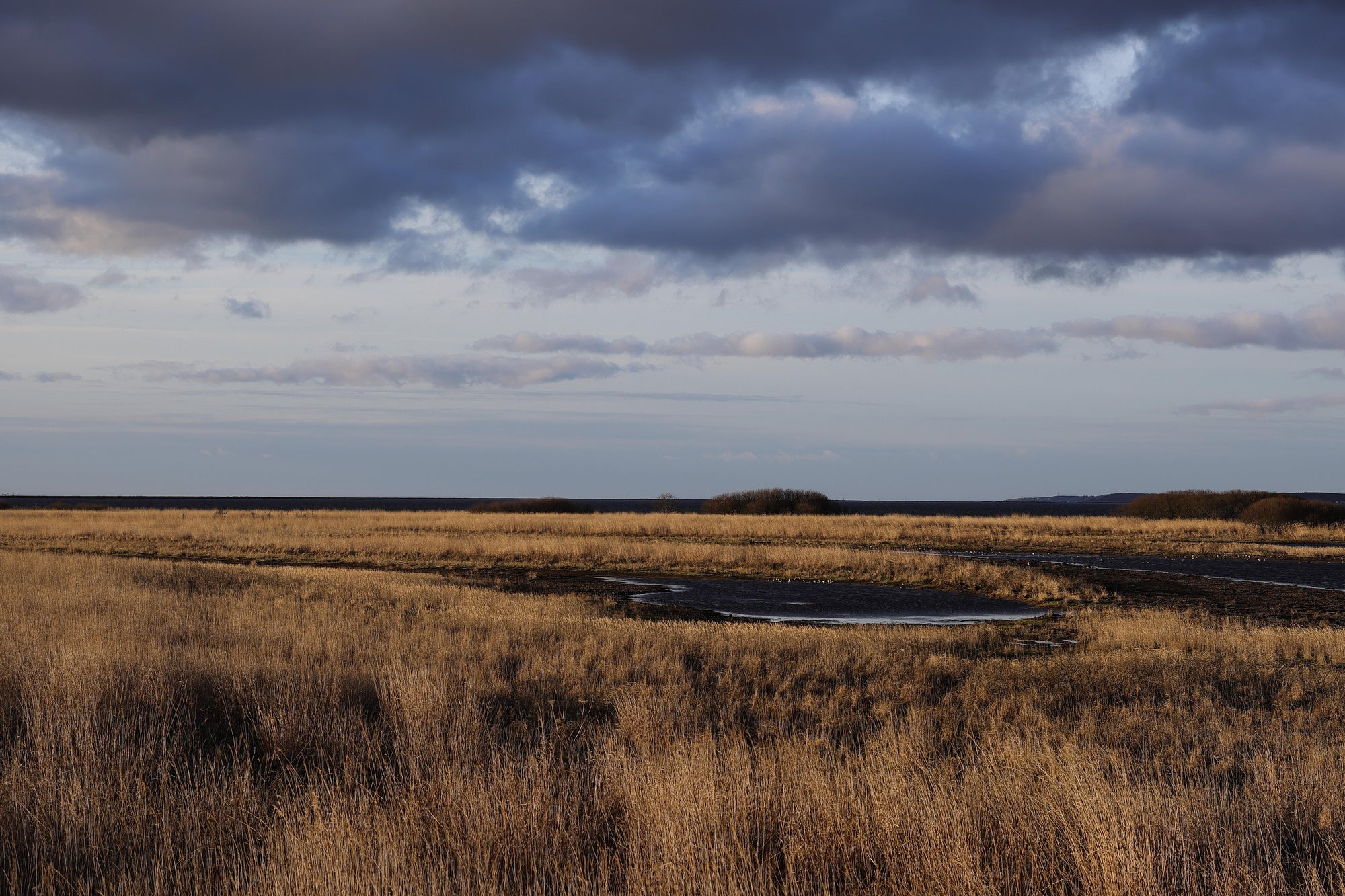 Slideshow image 3
