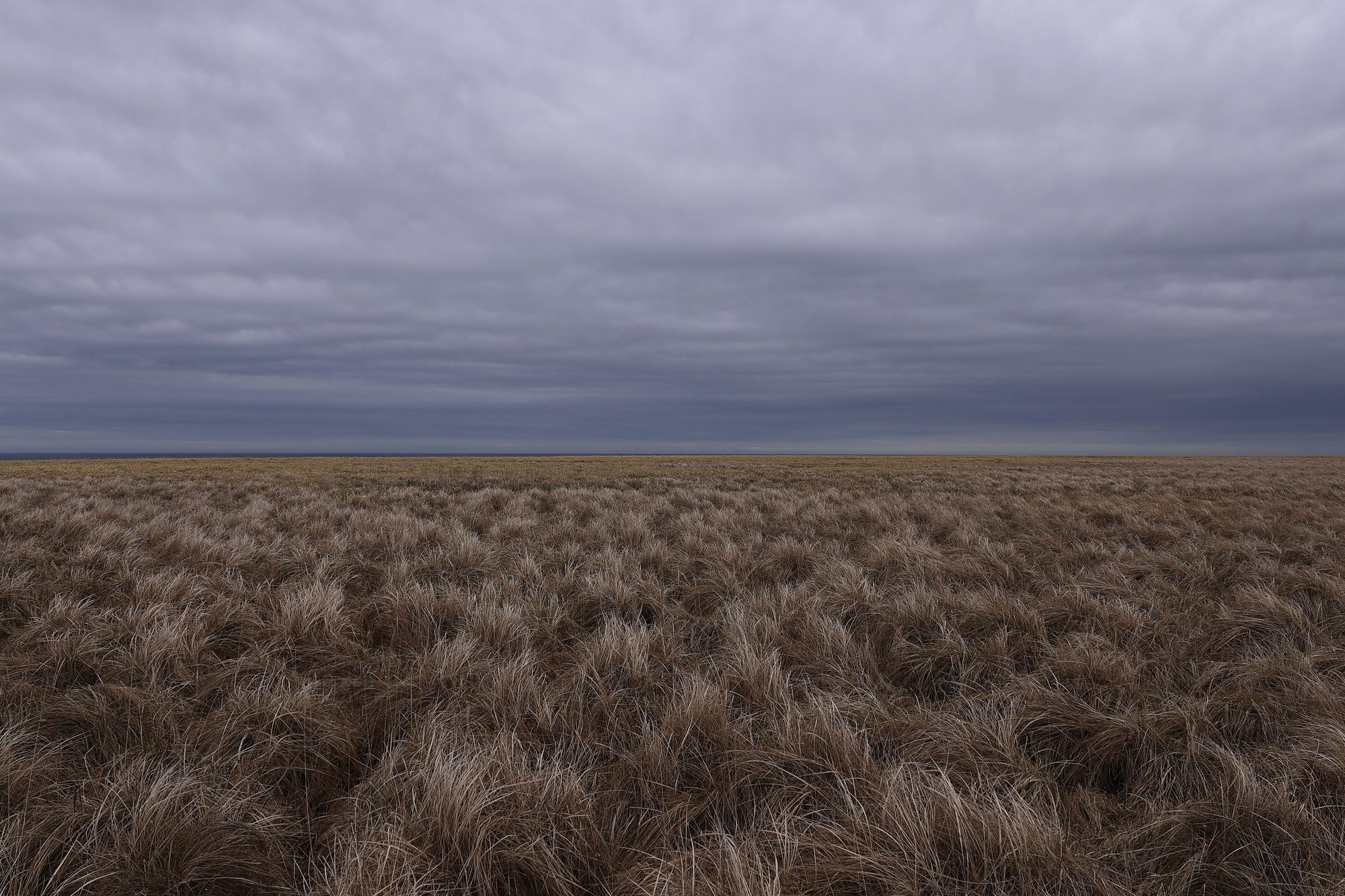 Full width image