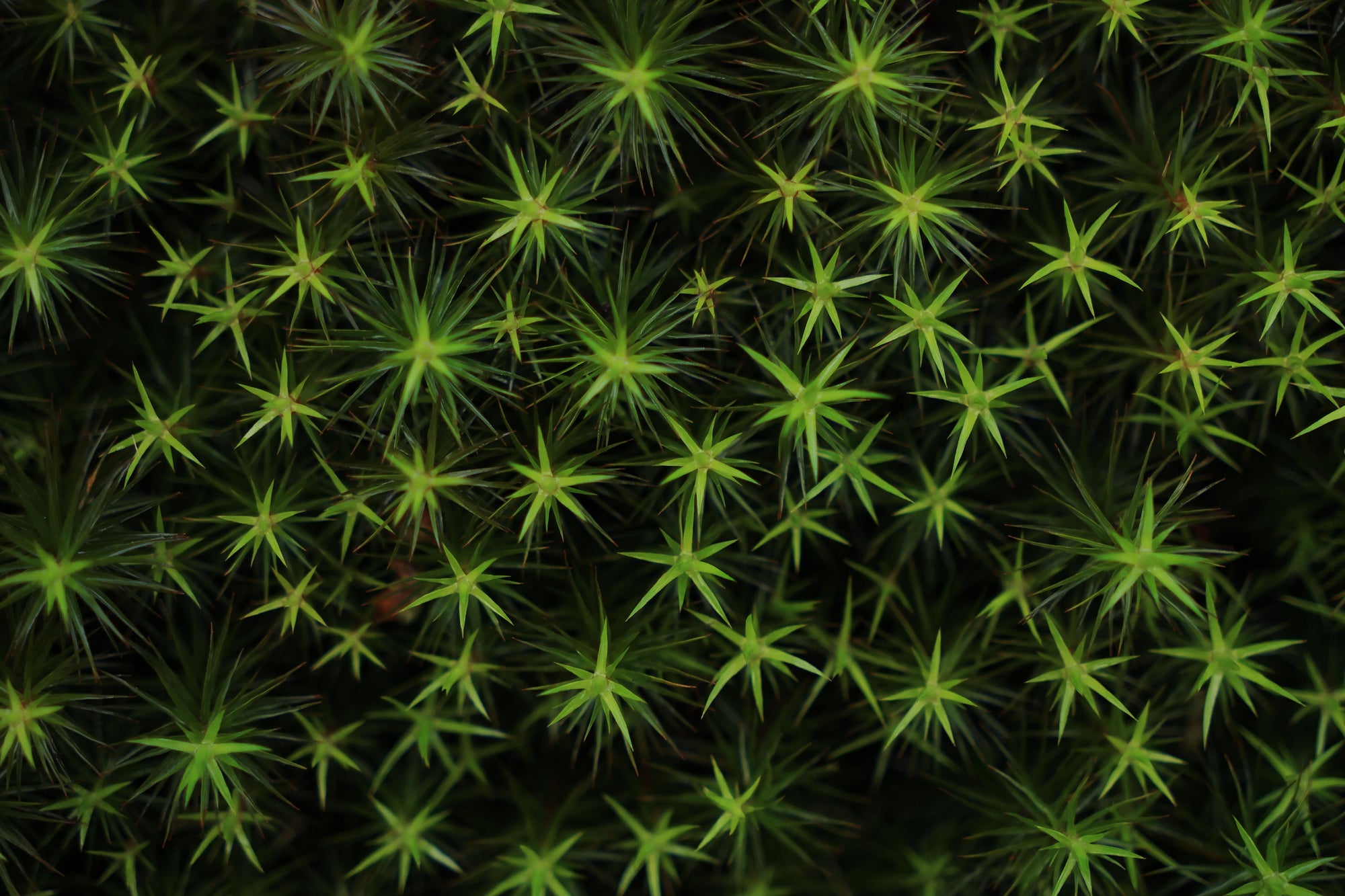 Slideshow image 9