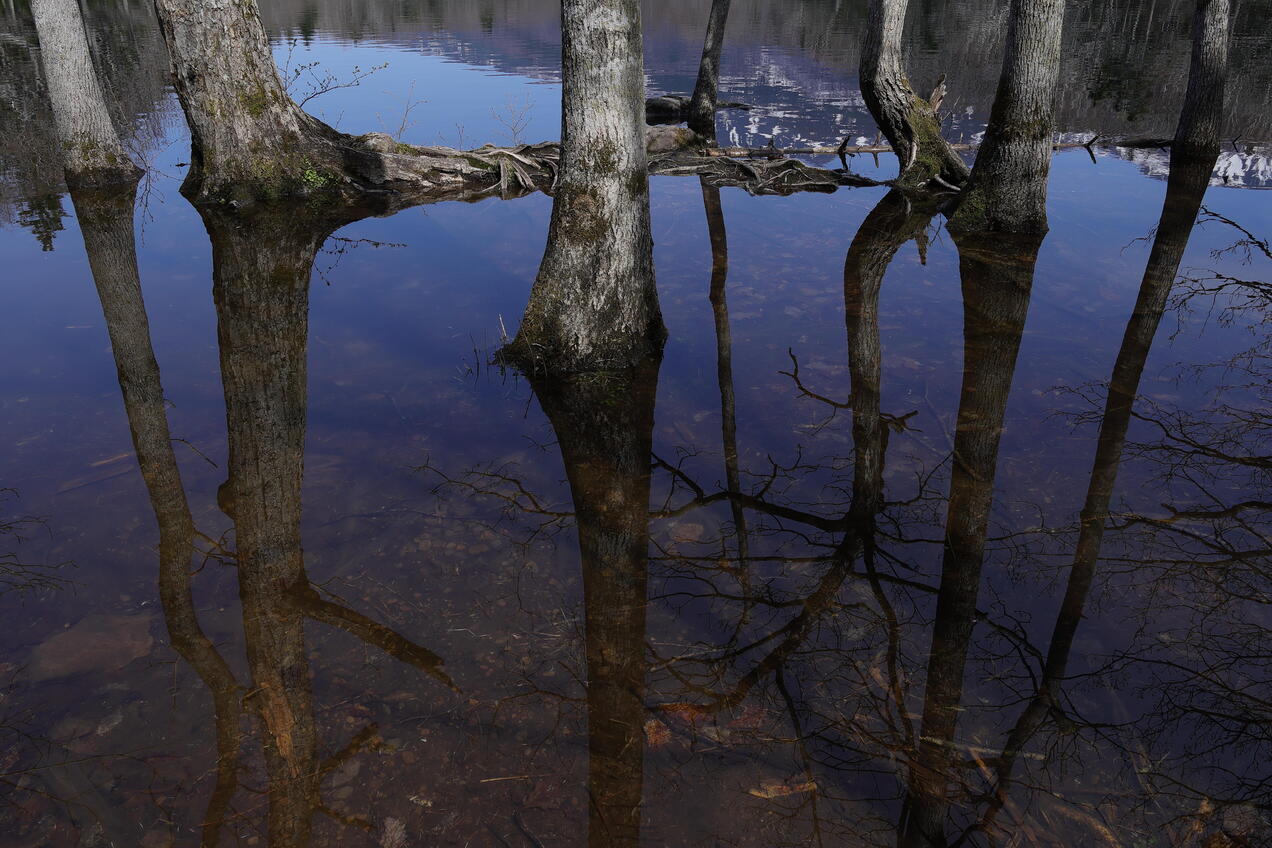 Slideshow image 7