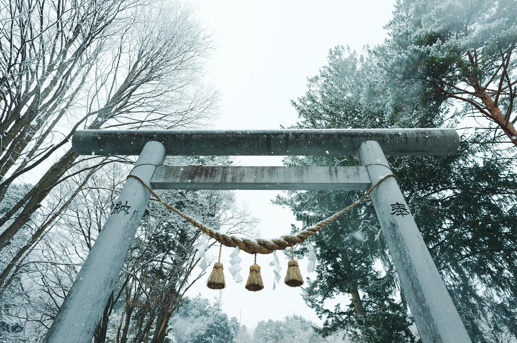 Full width image