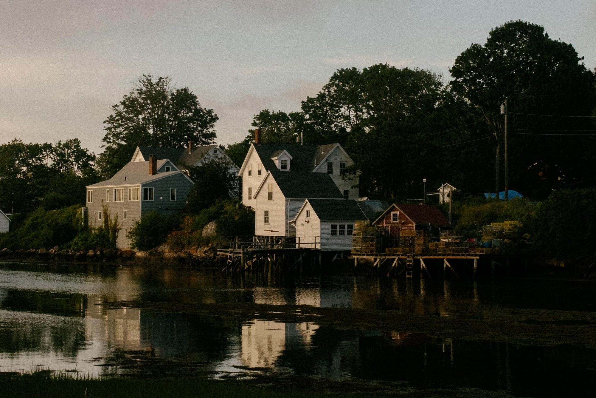 Full width image