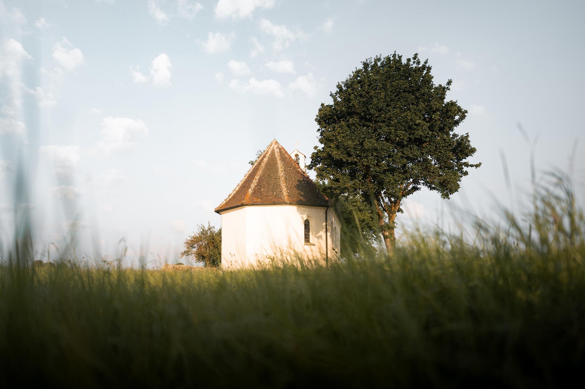 Full width image