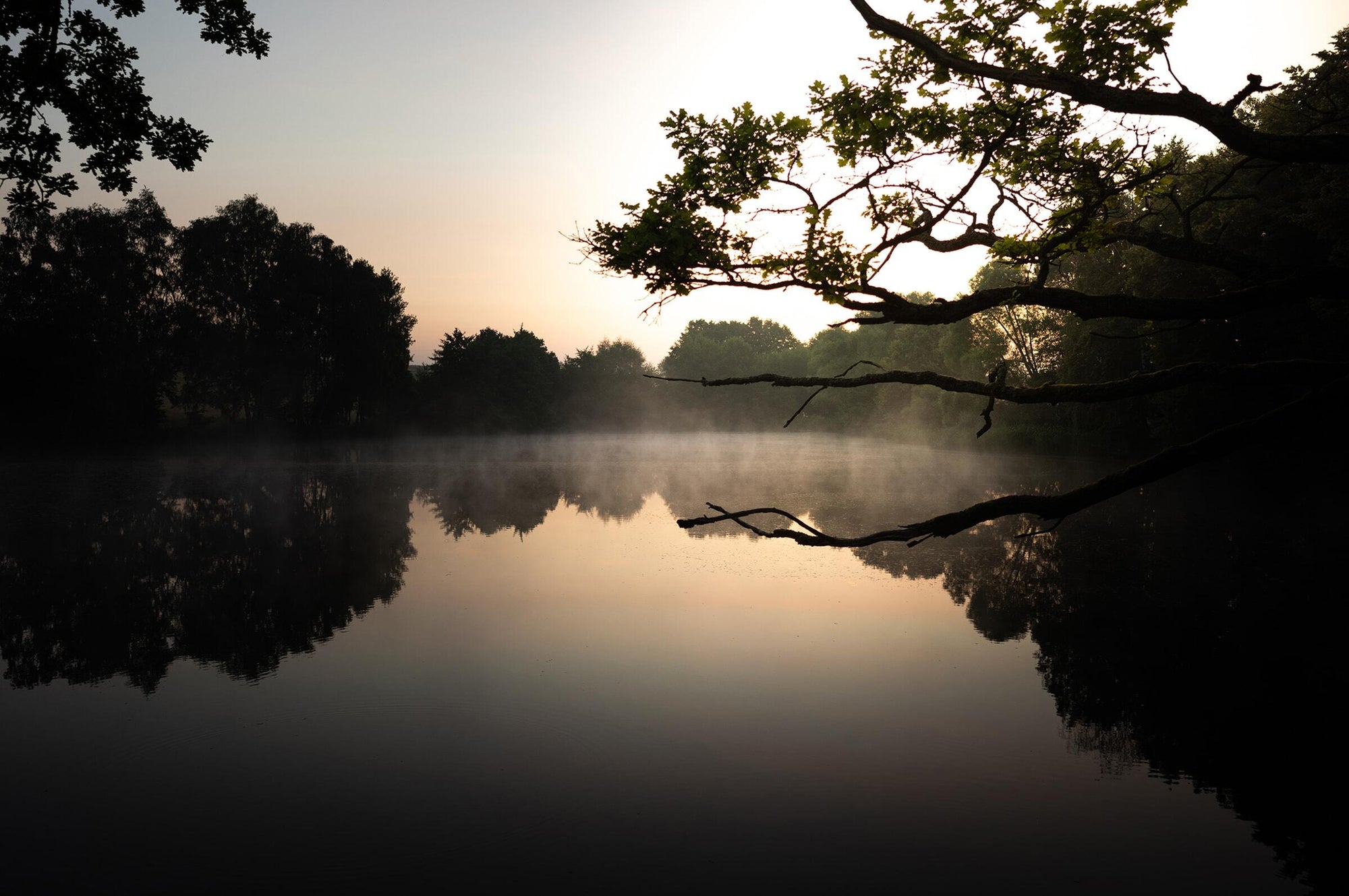Full width image