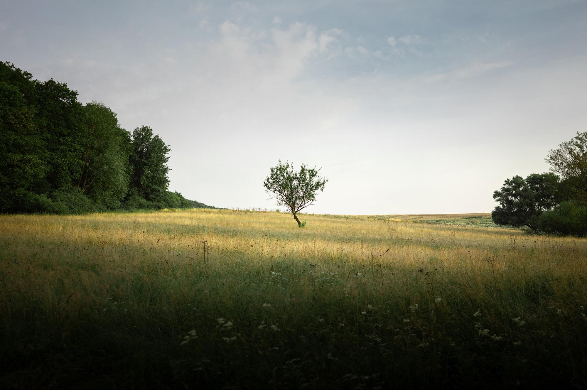 Full width image