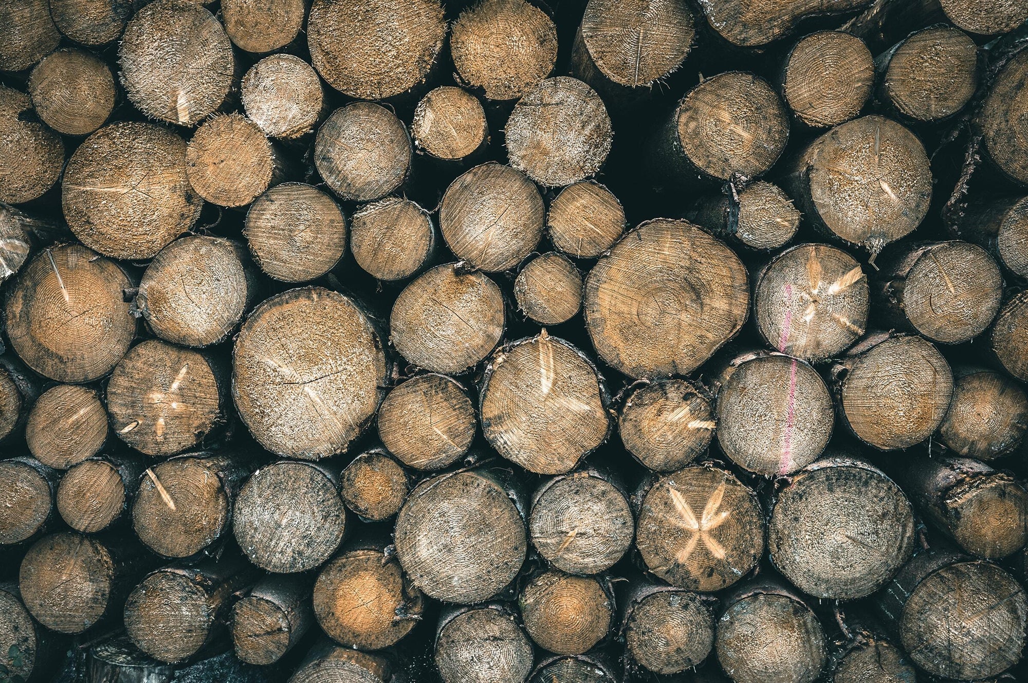 Full width image