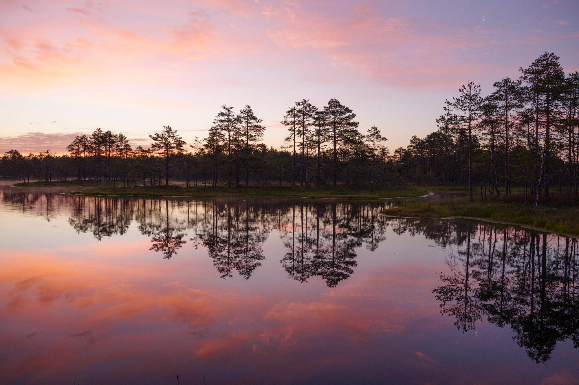 Full width image