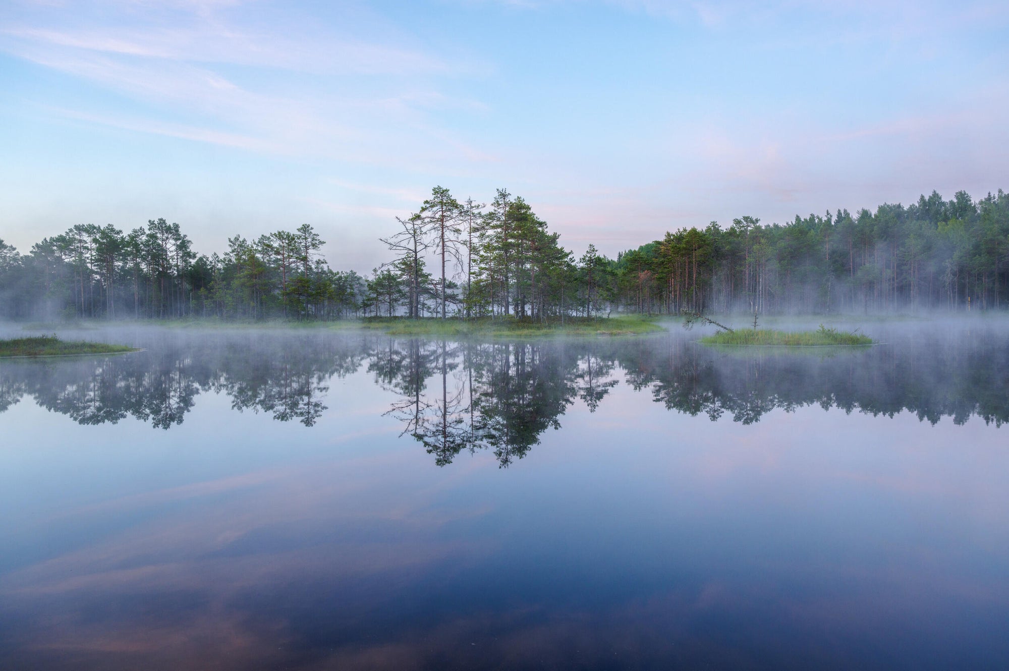 Full width image