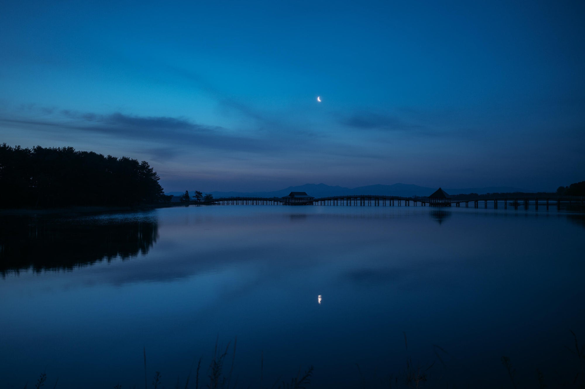 Full width image