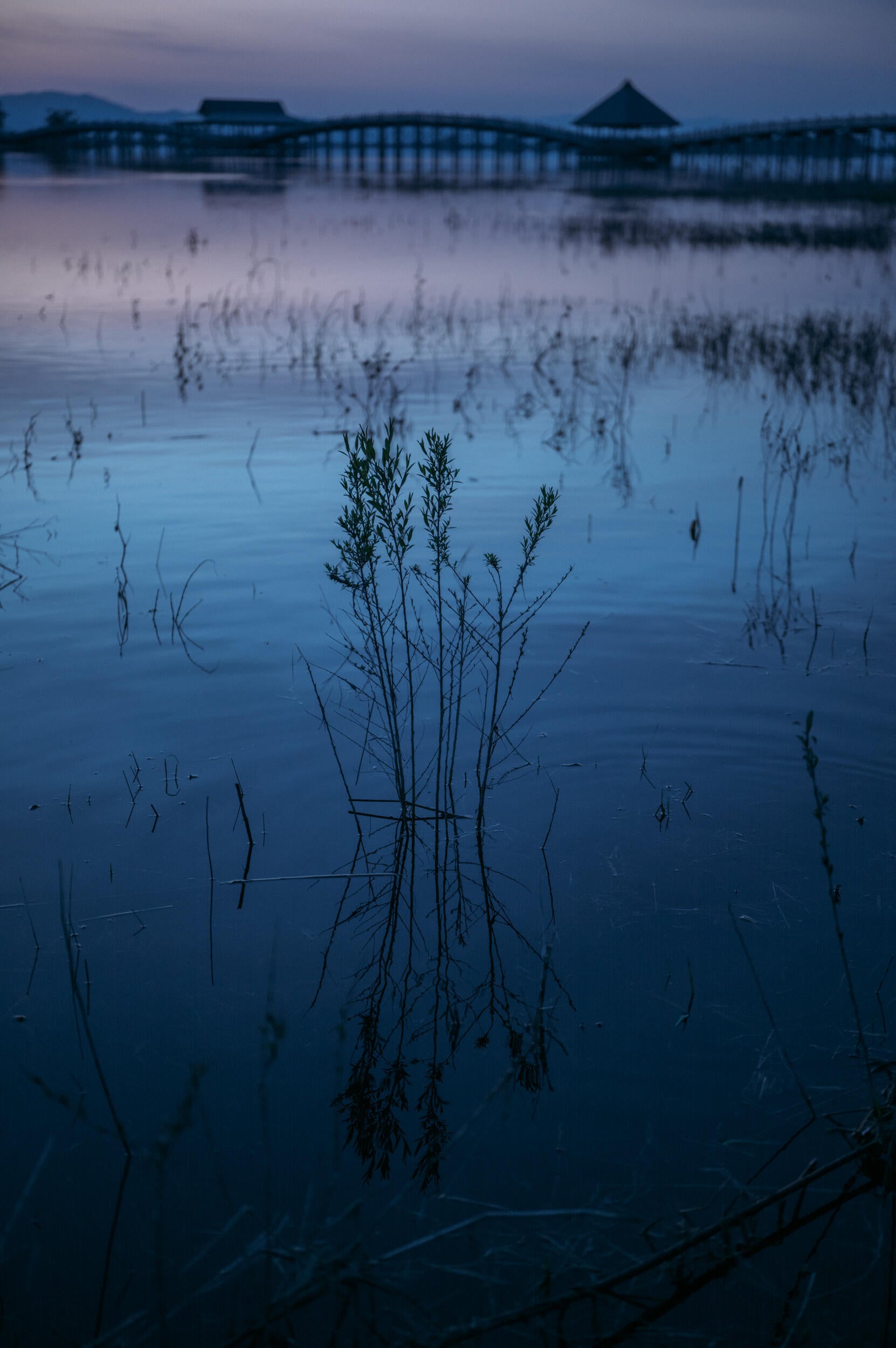 Slideshow image 1