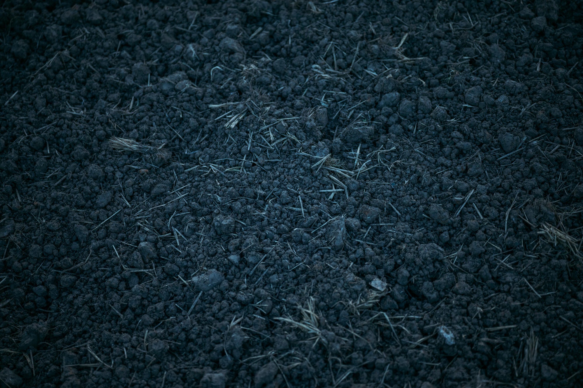 Slideshow image 8