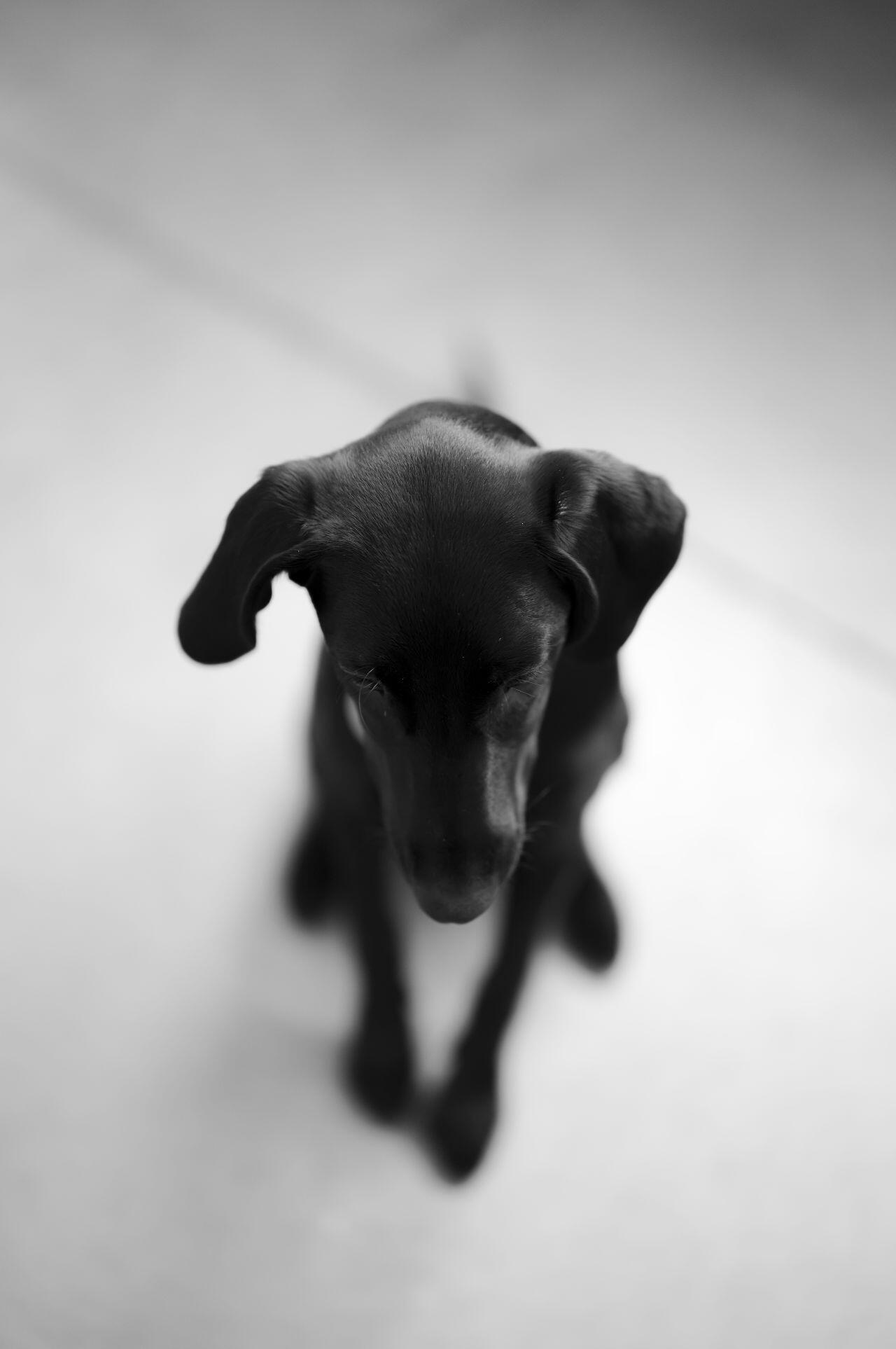 First Image