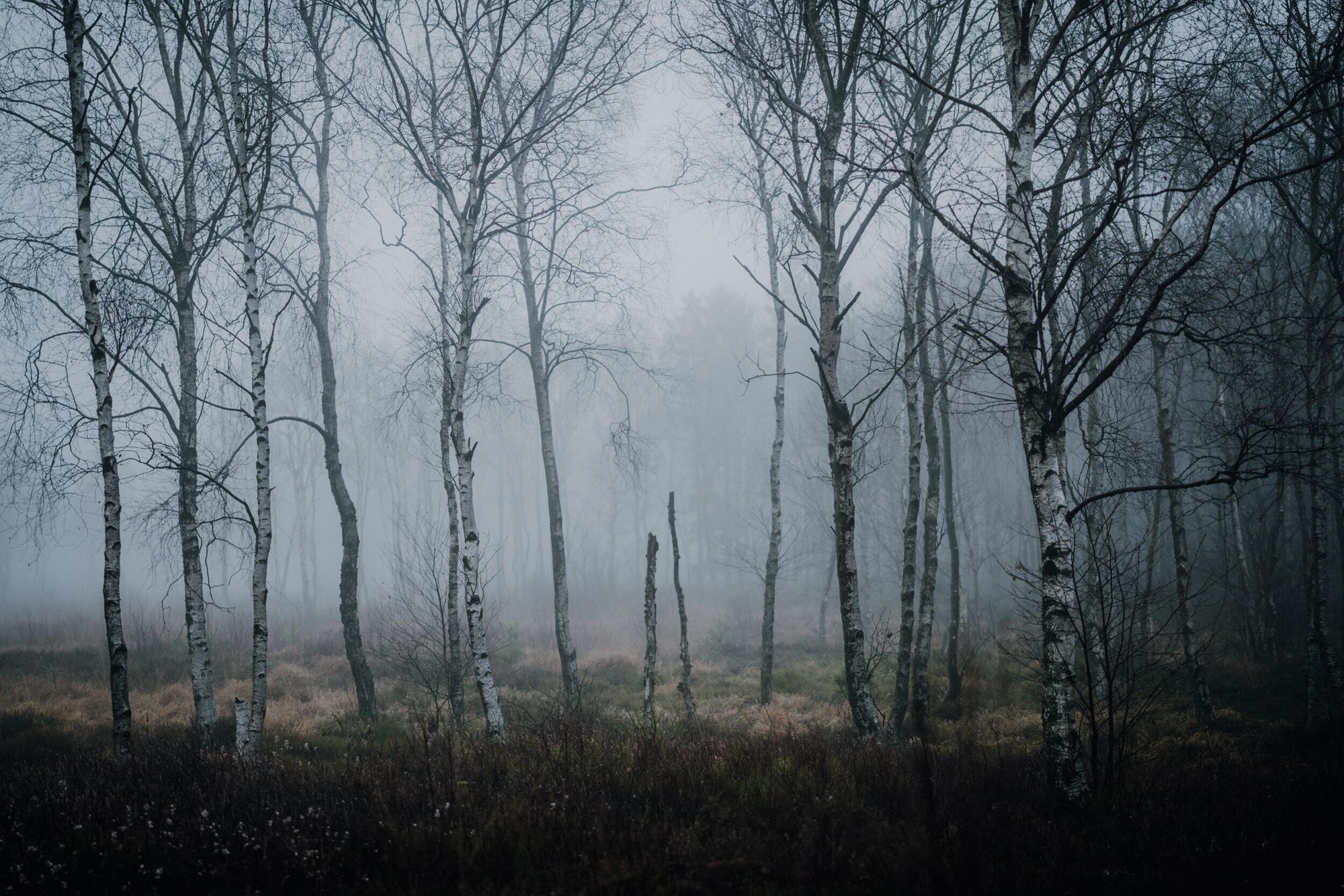 Full width image