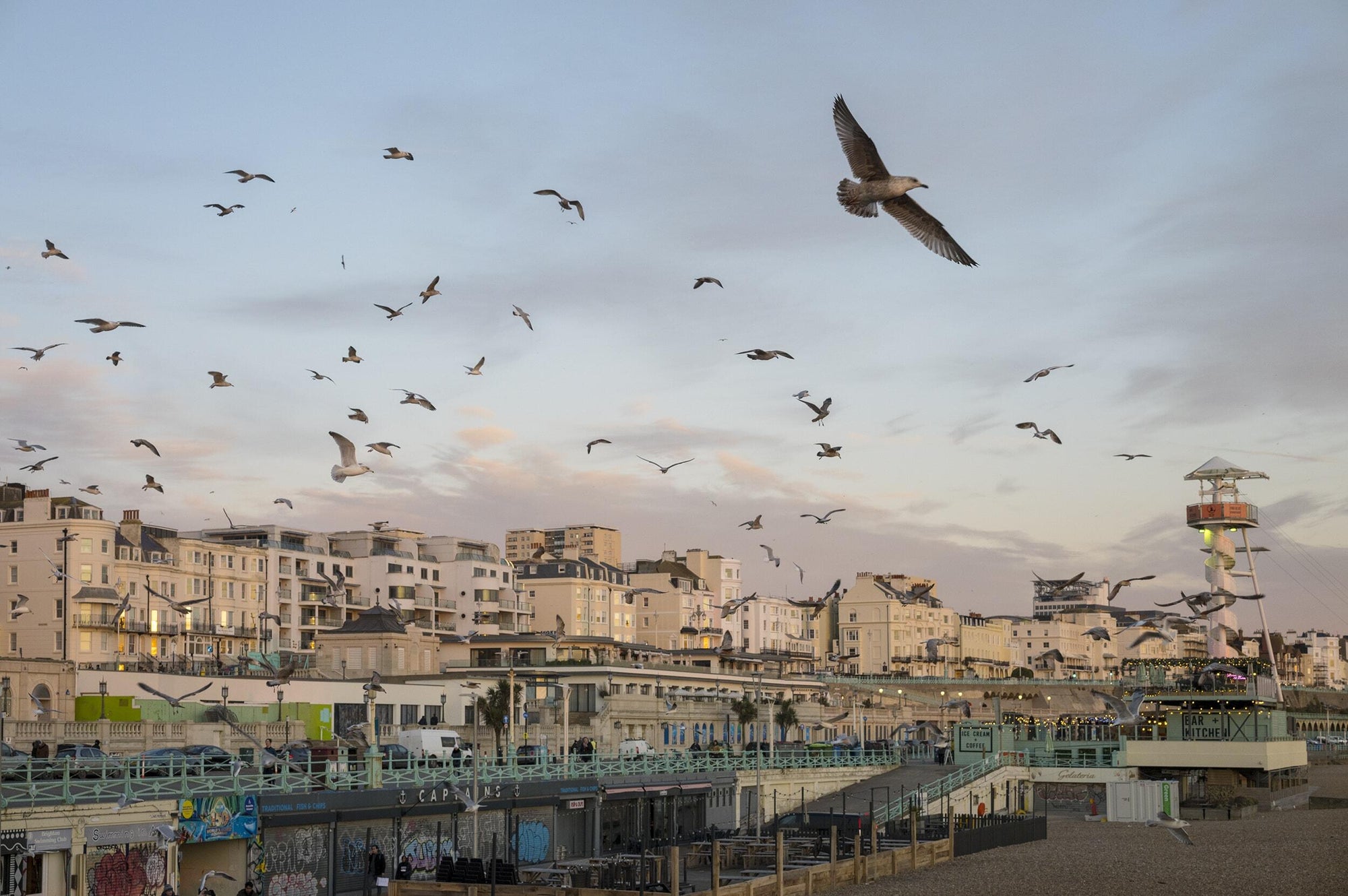Full width image