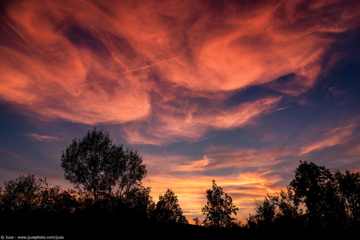 Full width image