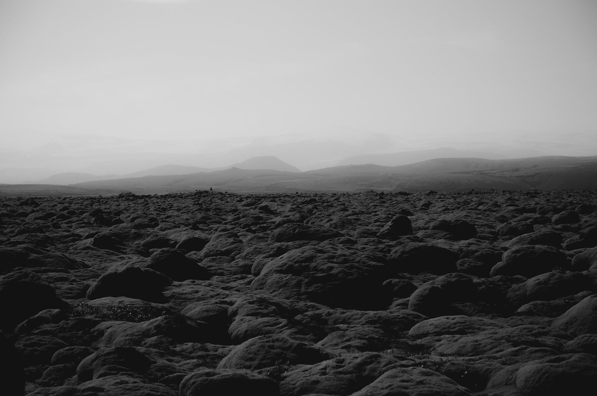 Full width image