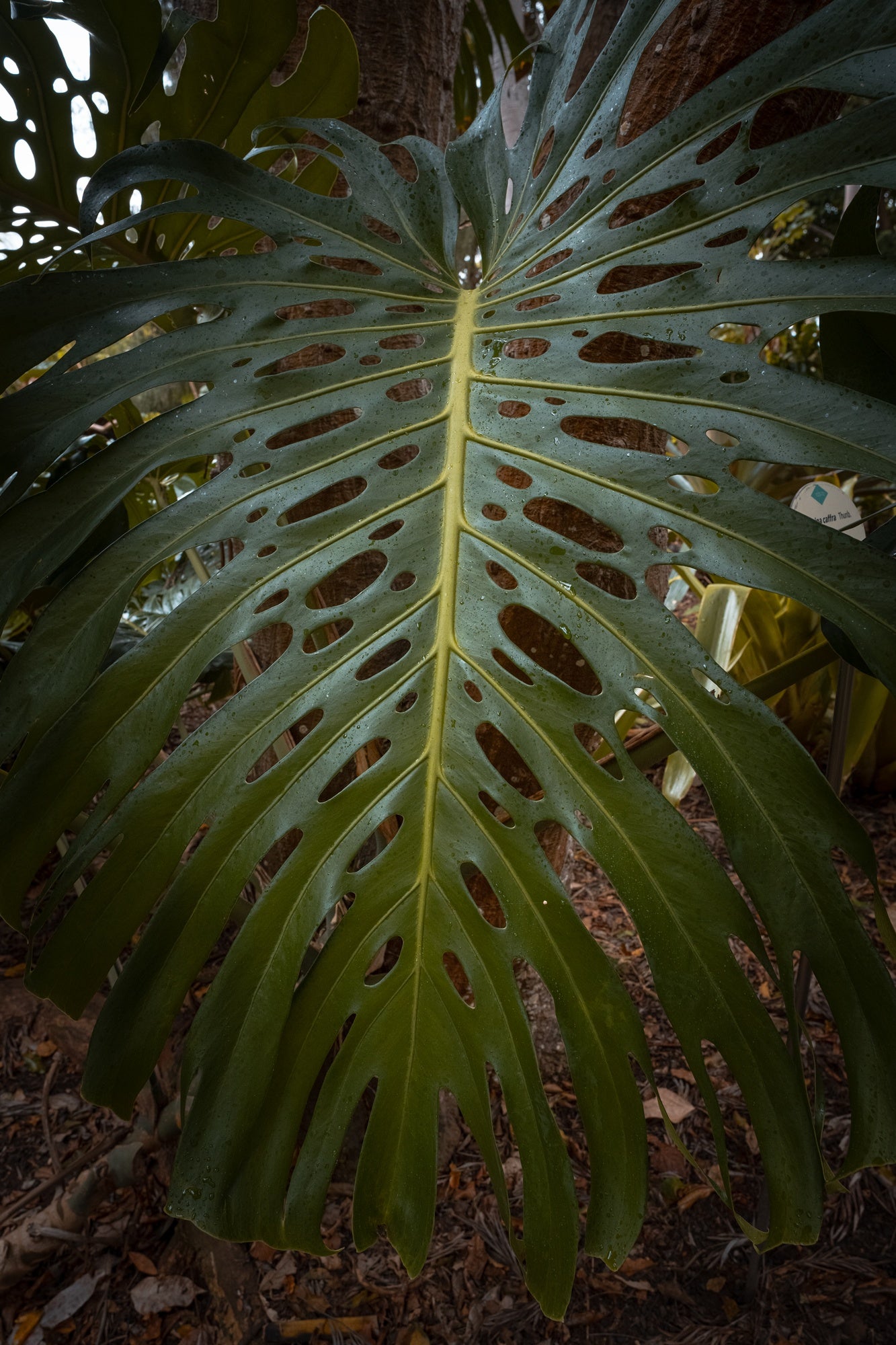 Slideshow image 8