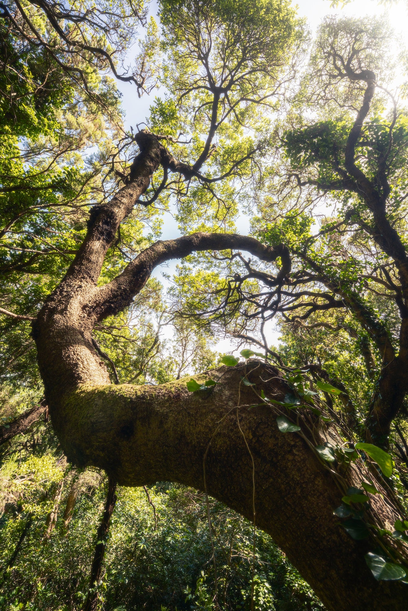 Slideshow image 12