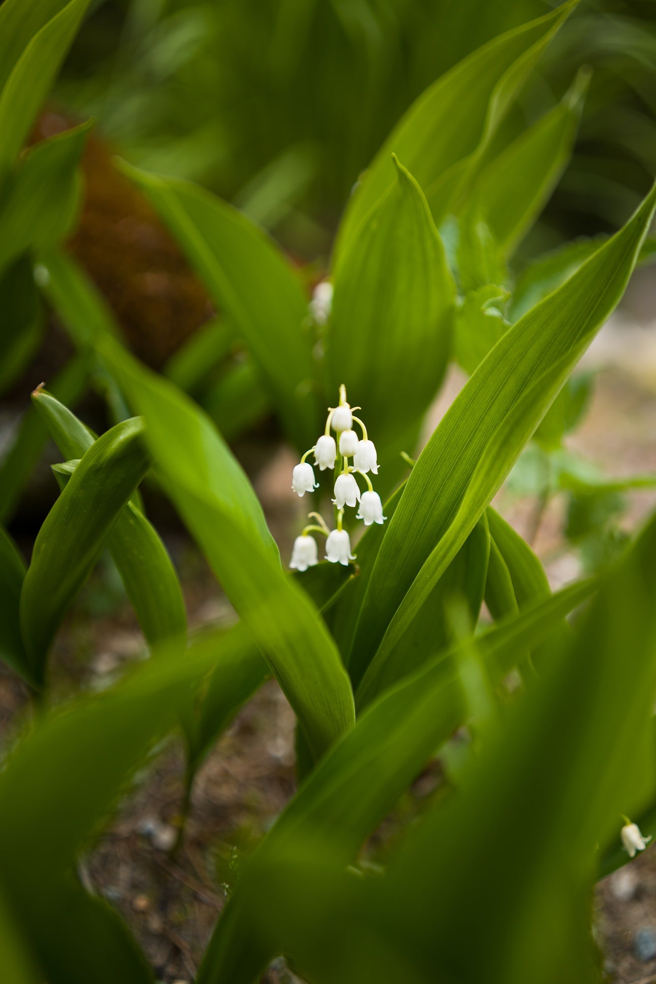 Slideshow image 9