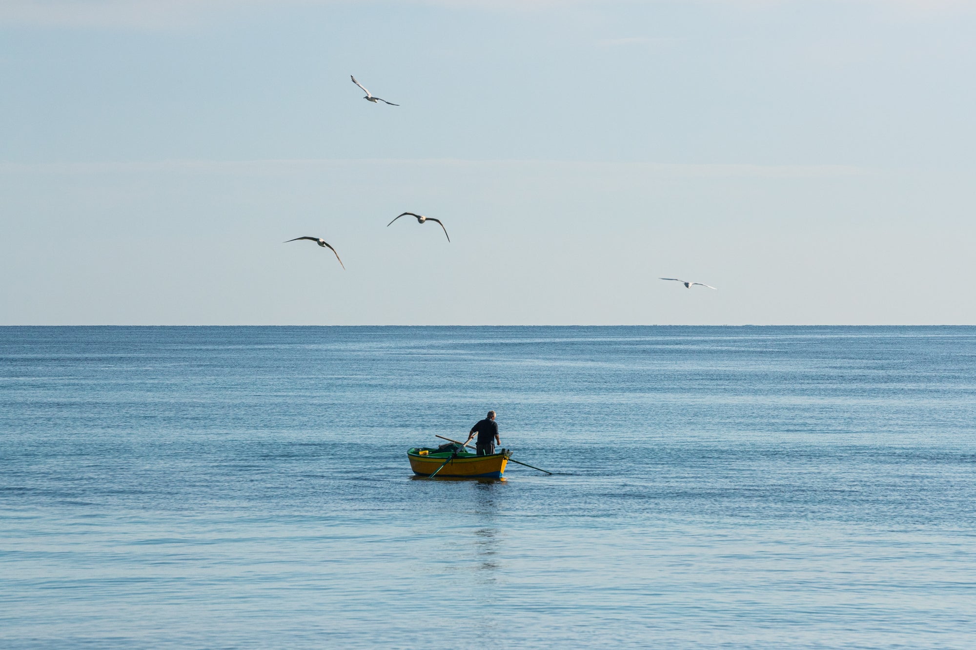 Slideshow image 1