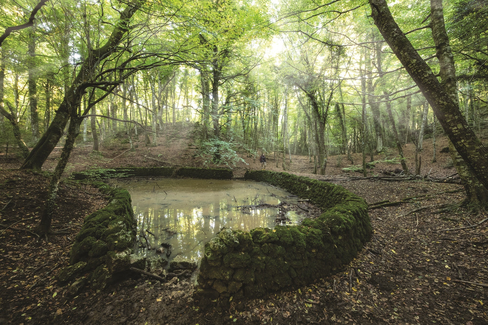 Slideshow image 5