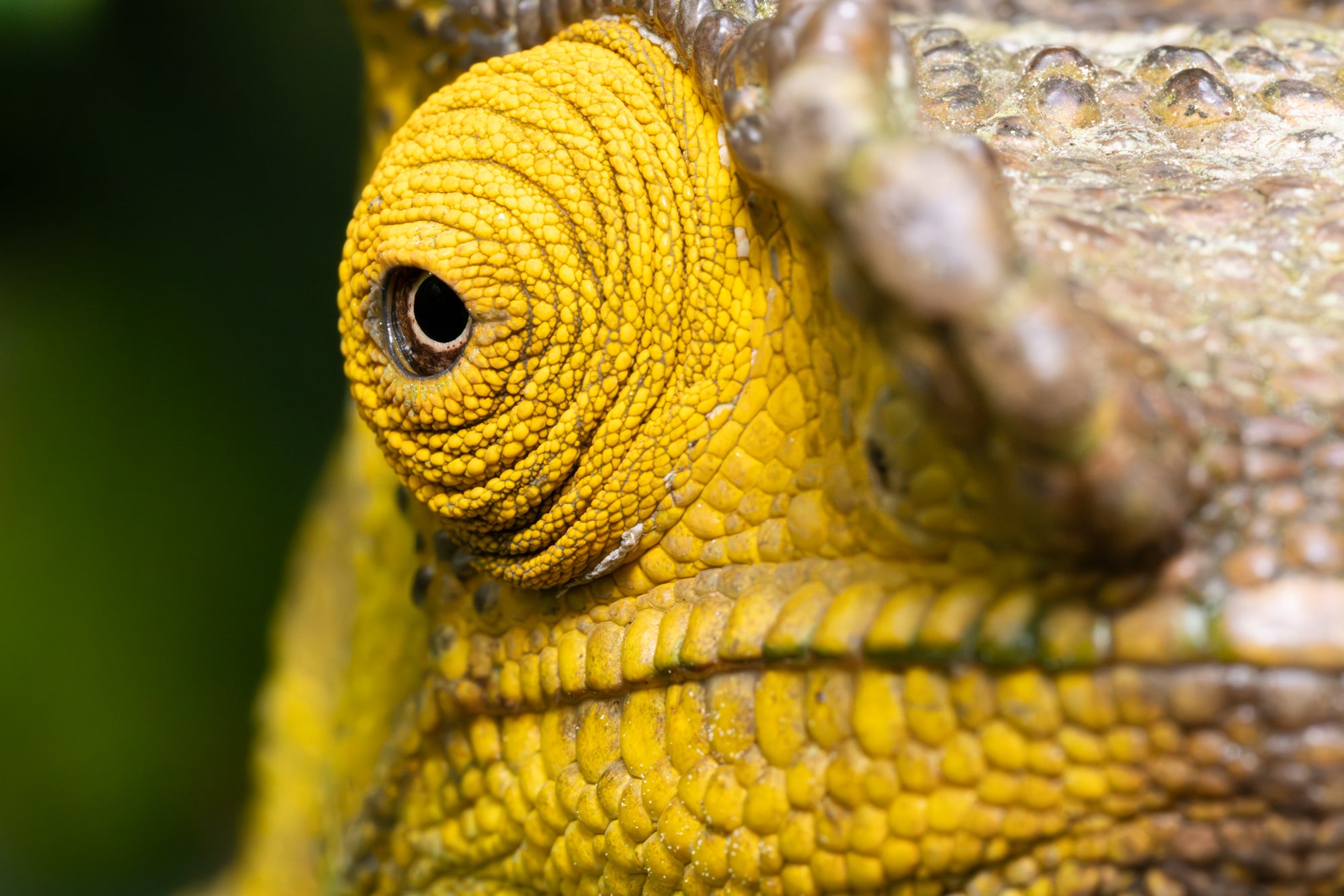 Slideshow image 15