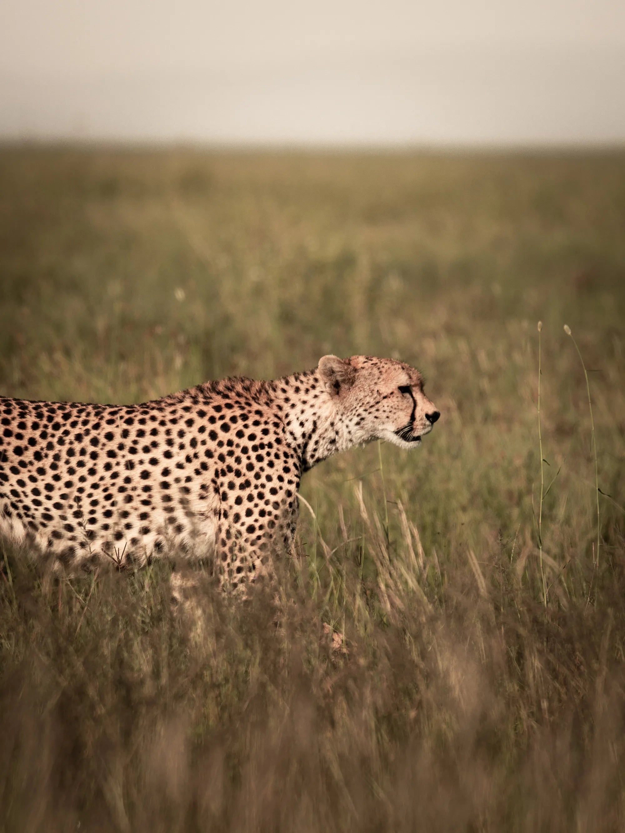 Full width image