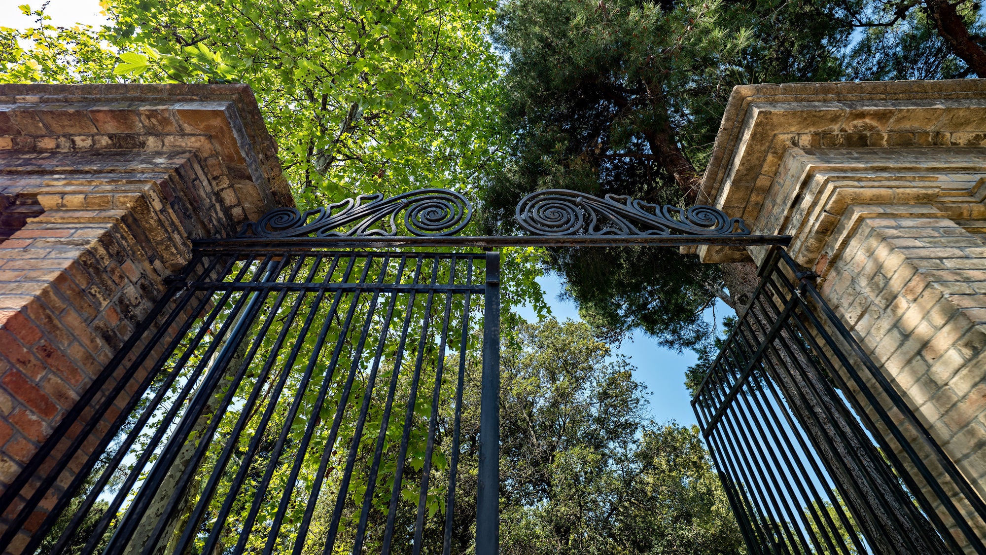 Slideshow image 5
